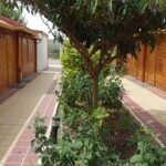 Hostal Gran Avenida turismo rural